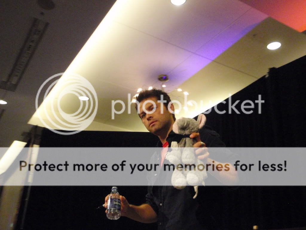 User Image